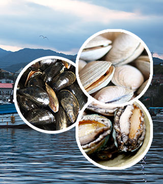 ����м��